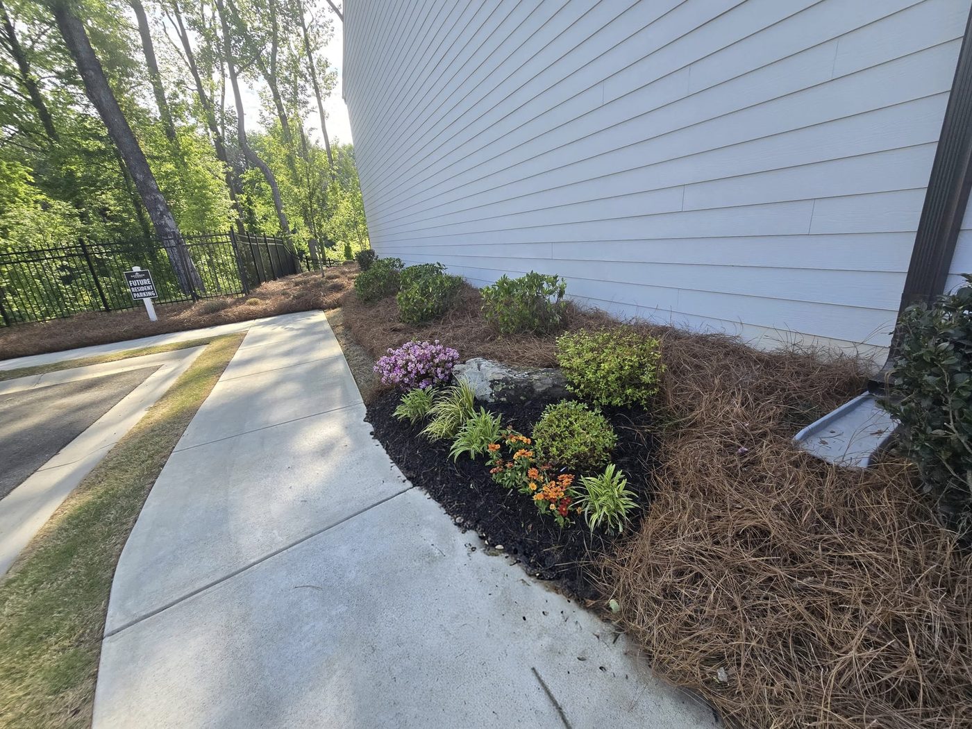 Mulch bed with flowers along sidewalk