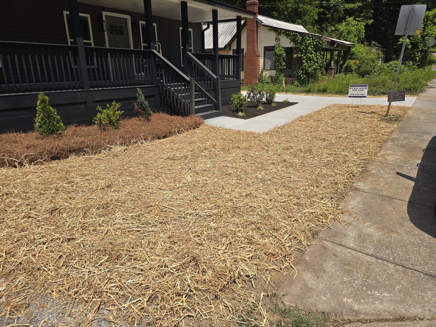 Front yard with straw mulch and accent shrubs