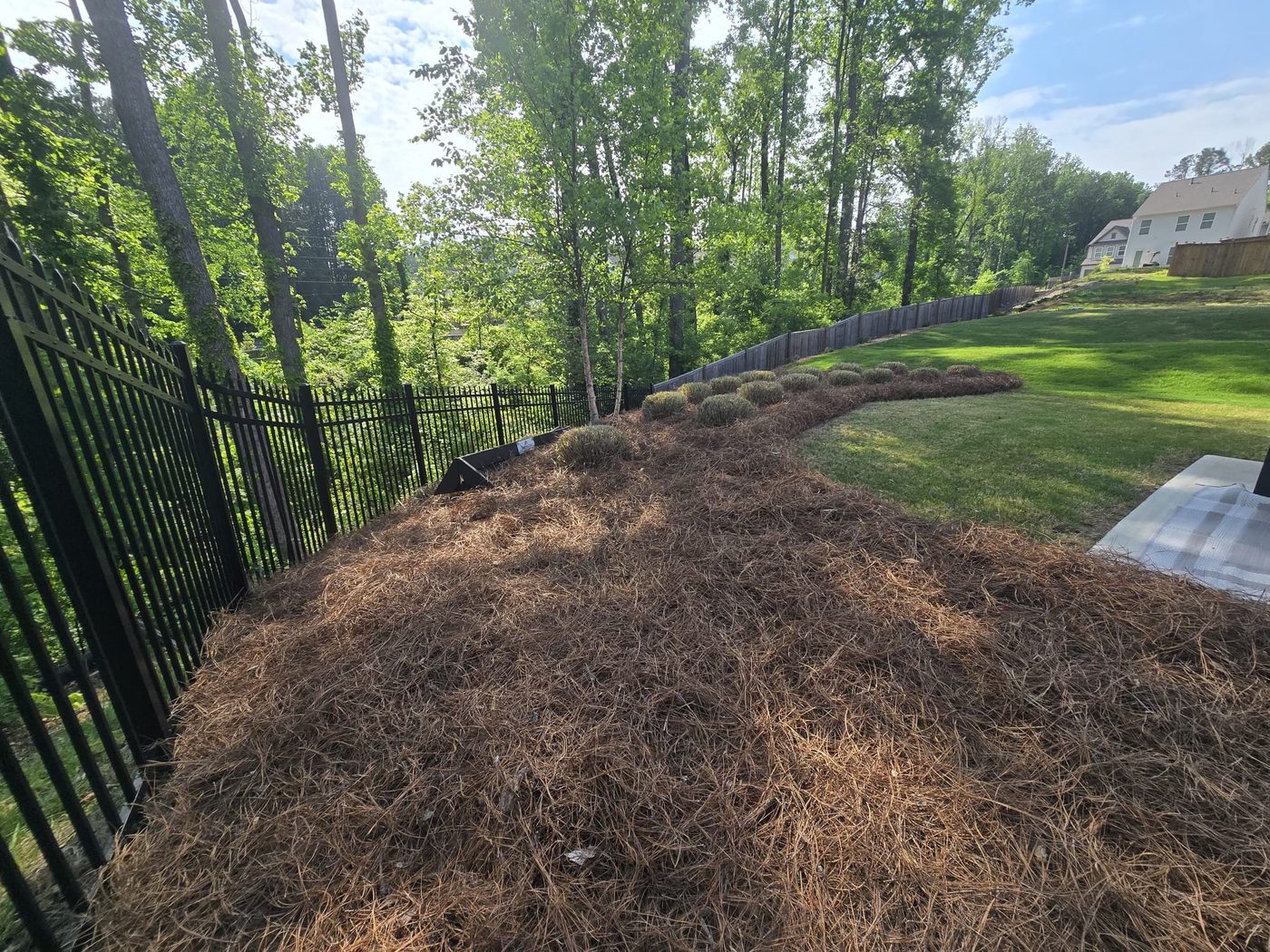 Pinestraw installation on hillside slope