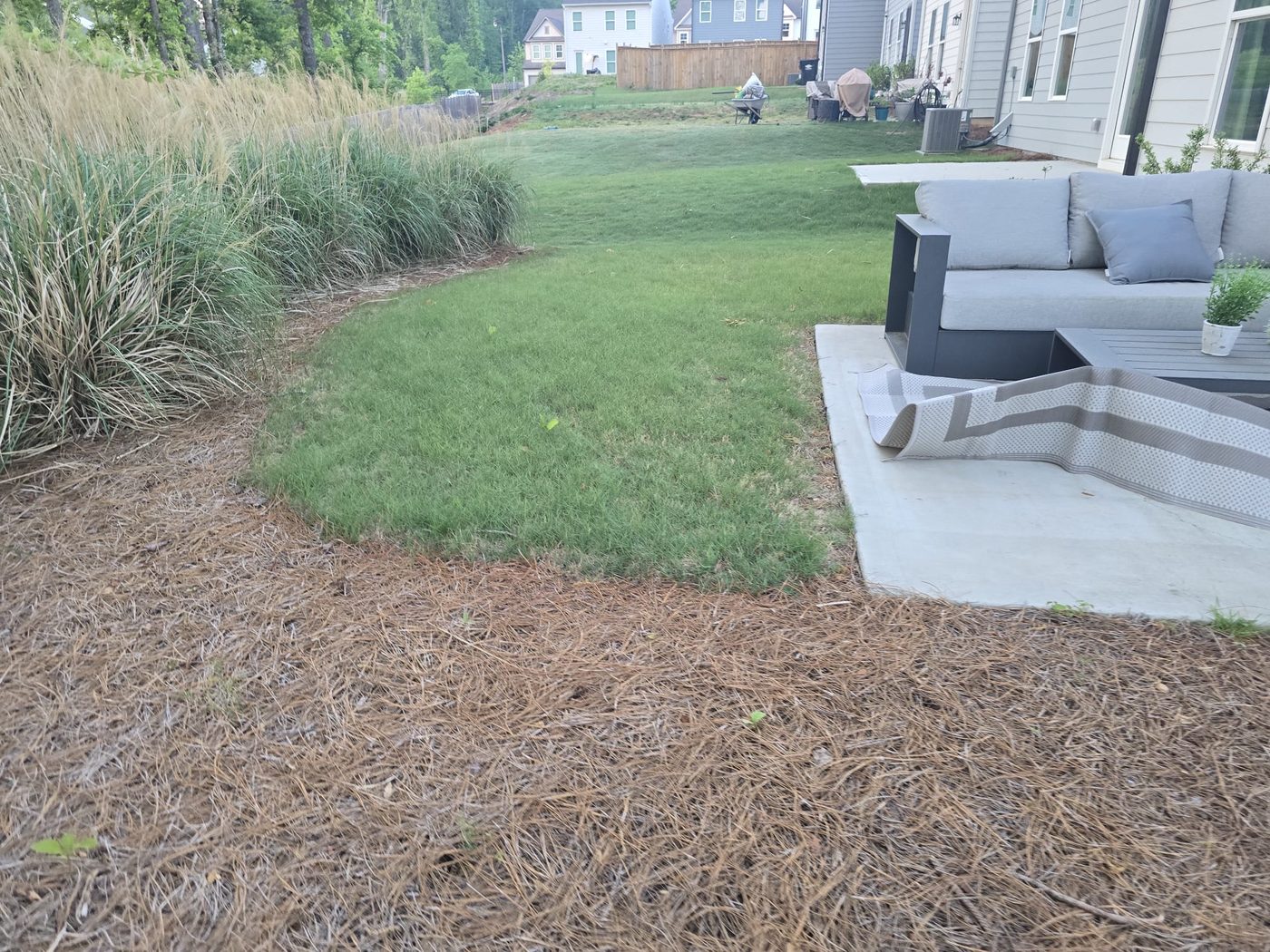 Sod lawn with patio and pinestraw border