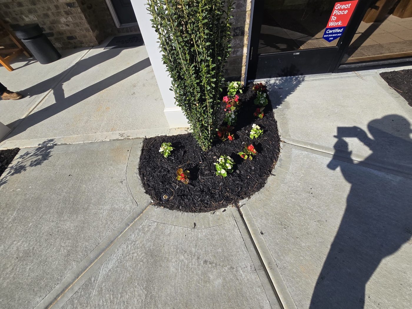 Tree well with begonias and mulch